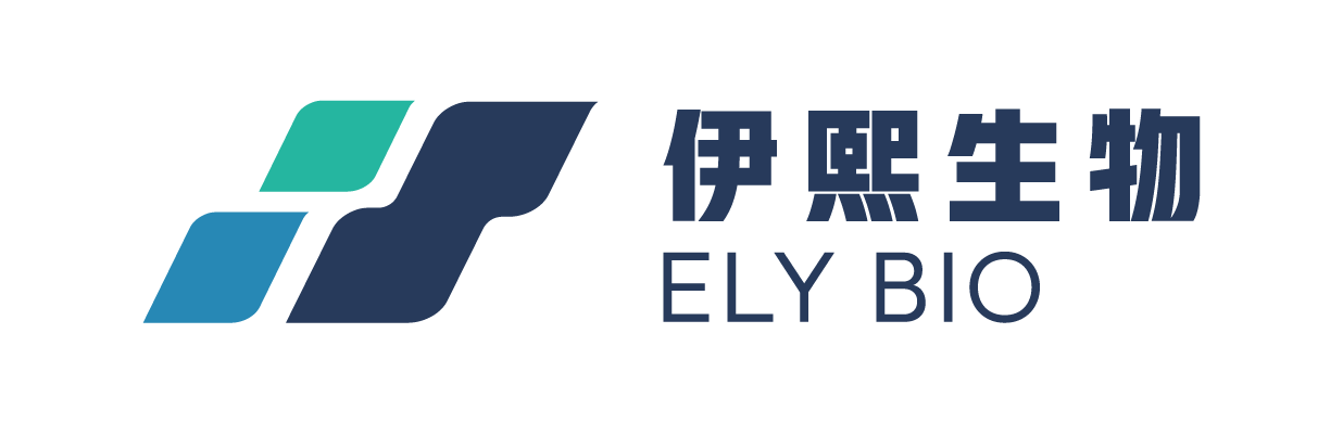 我的网站